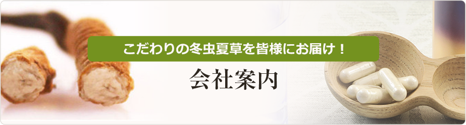 冬虫夏草のすゝめ｜本物の冬虫夏草菌糸100%サプリ【藤原の冬虫夏草】