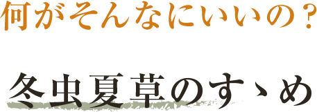 本物の冬虫夏草菌糸100%サプリは本場チベット産【藤原の冬虫夏草】